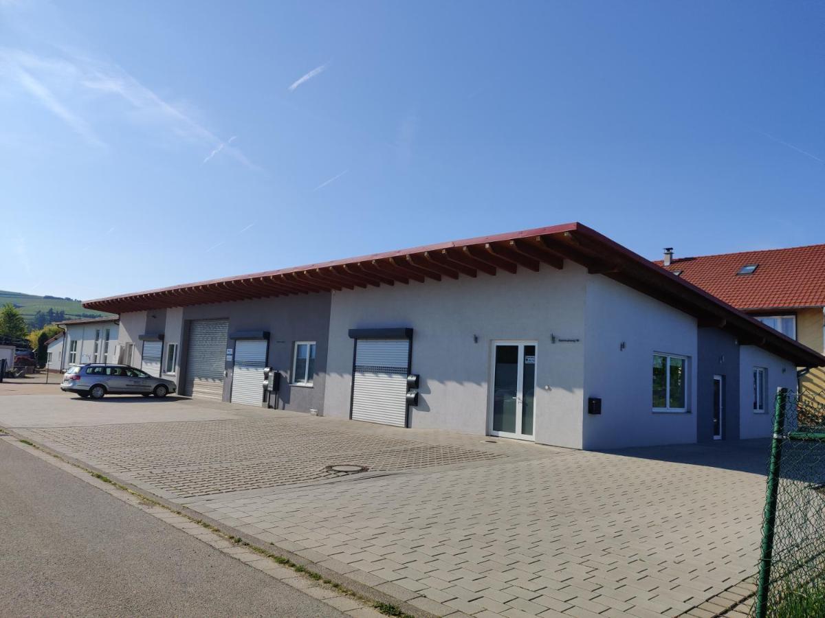 Ebenerdig Mit Terrasse & Garten, Wlan & Parkplatz! Self Check-In & Check-Out! Schwedenofen! Apartment Ауген Екстериор снимка